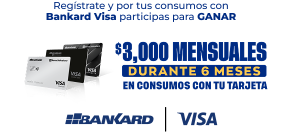 3k6meses