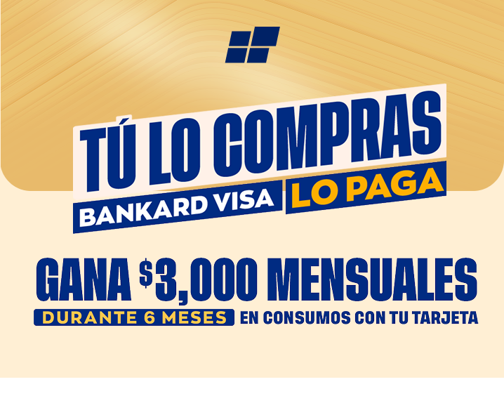 VisaLoPaga